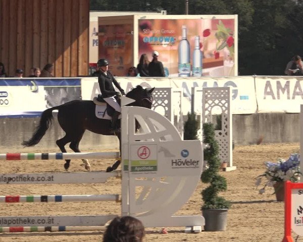 Reitturnier Ranshofen - Braunau am Inn 2023