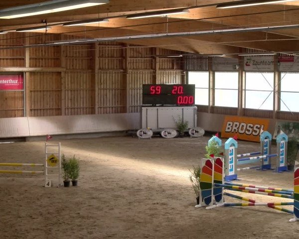 Reitturnier Winterthur 2023