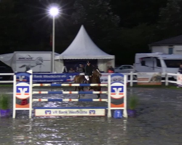 Reitturnier Mildstedt - JTN 2023