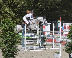 jumper Cleo Patra (Hanoverian, 2011, from Calido I)