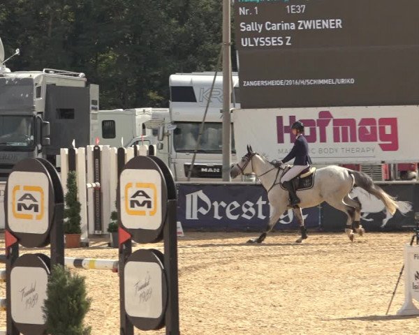 Reitturnier Ranshofen - Braunau am Inn 2023