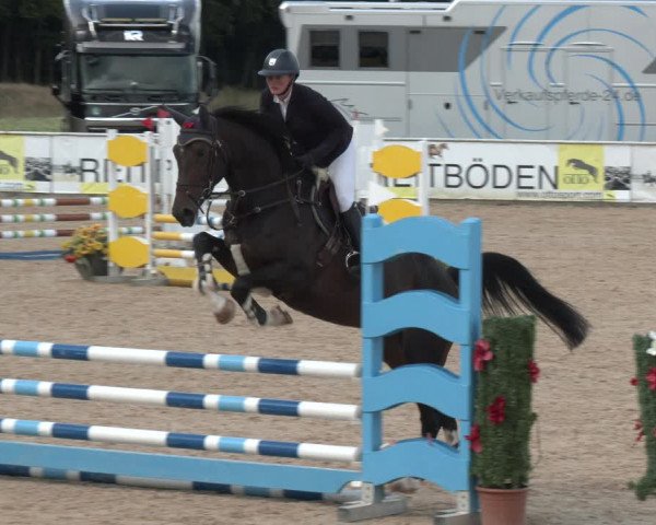 Reitturnier Ranshofen - Braunau am Inn 2023