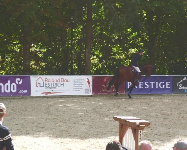 Reitturnier Karlsfeld 2023