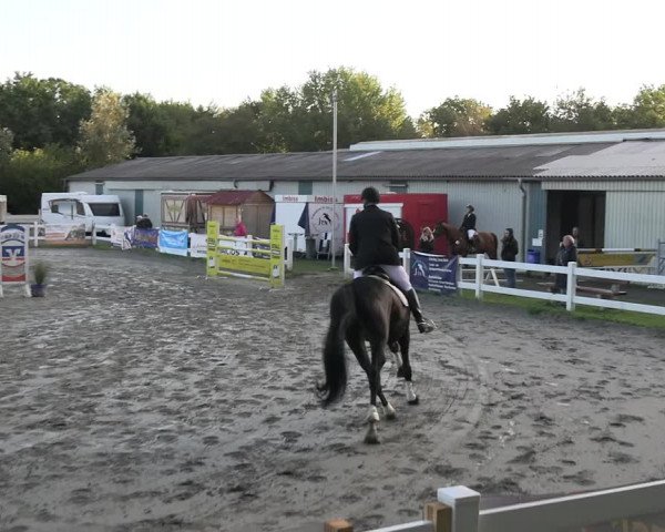 Reitturnier Mildstedt - JTN 2023