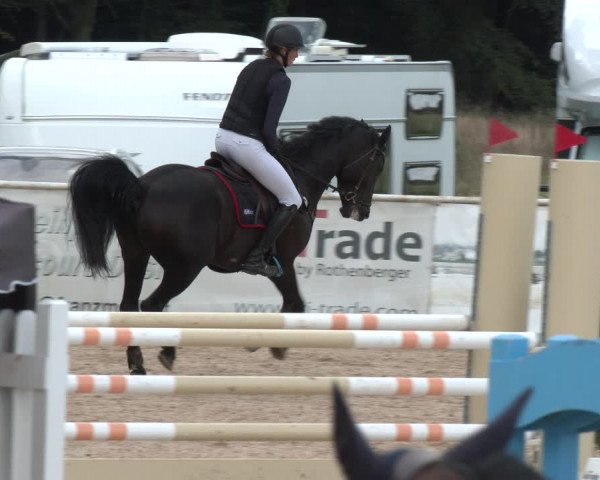 Reitturnier Ranshofen - Braunau am Inn 2023