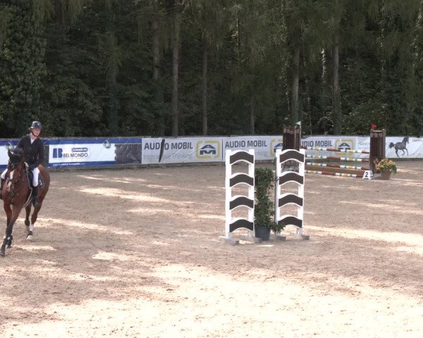 Reitturnier Ranshofen - Braunau am Inn 2023