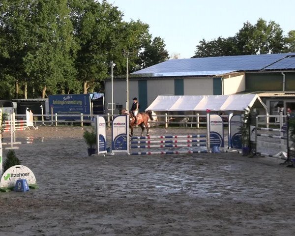 Reitturnier Mildstedt - JTN 2023