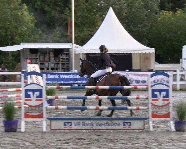 Reitturnier Mildstedt - JTN 2023