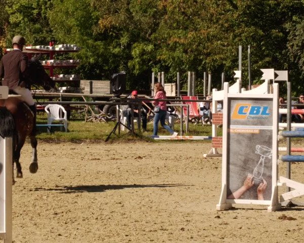 Reitturnier Leingarten 2023