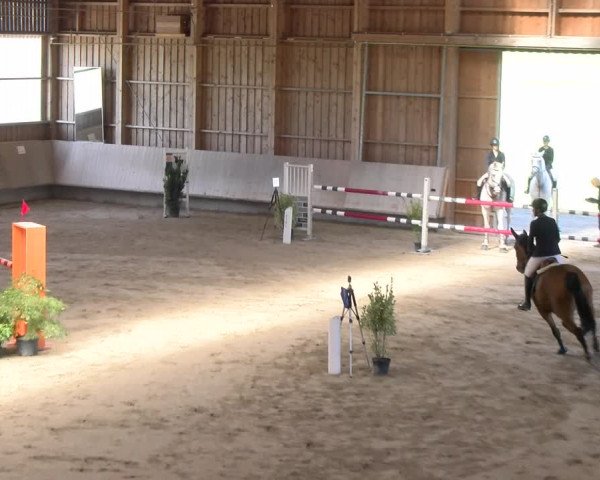 Reitturnier Winterthur 2023