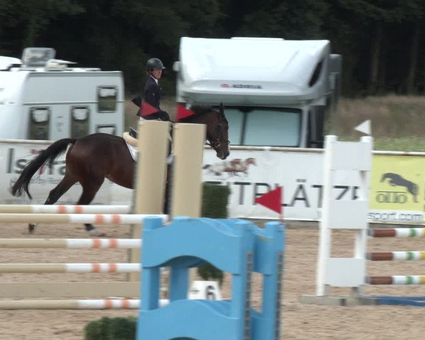 Reitturnier Ranshofen - Braunau am Inn 2023