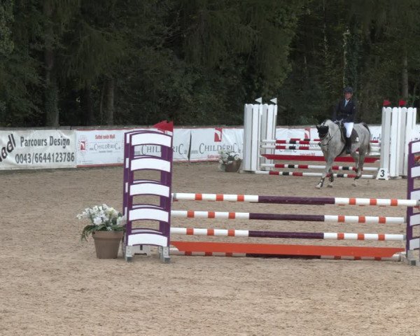 Reitturnier Ranshofen - Braunau am Inn 2023