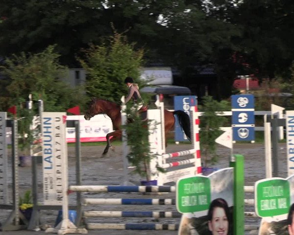 Reitturnier Mildstedt - JTN 2023