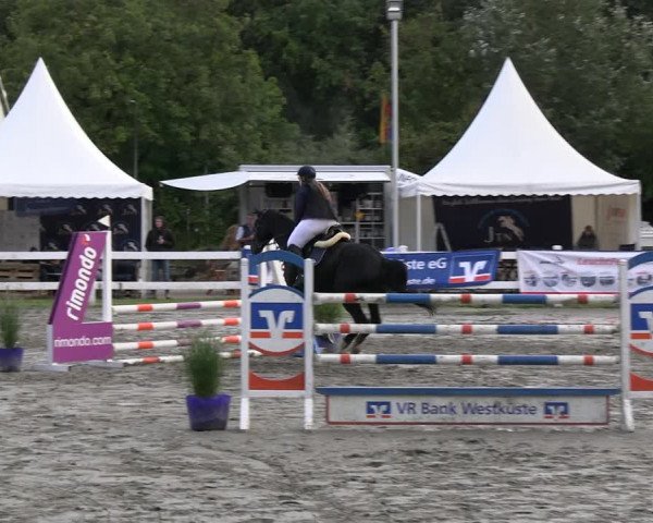 Reitturnier Mildstedt - JTN 2023