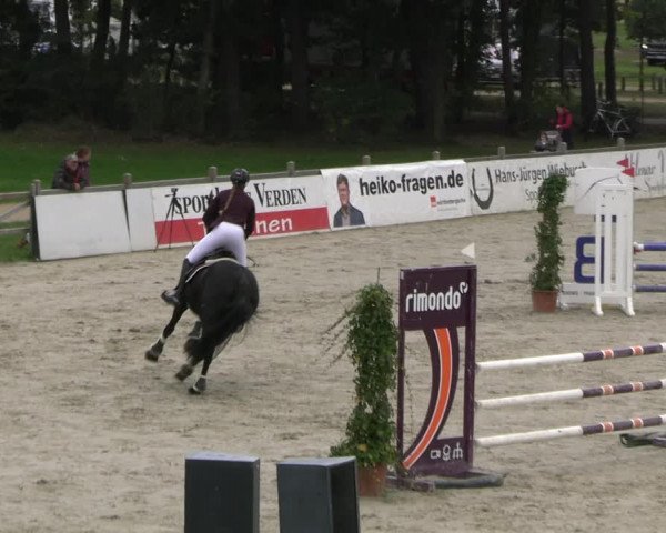 Reitturnier Westergellersen 2023