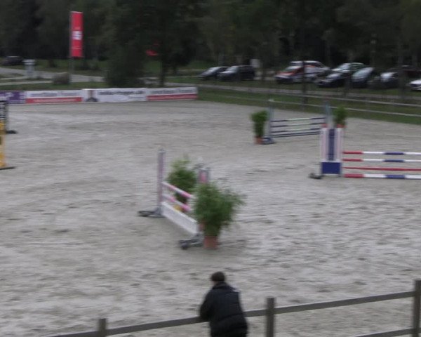 Reitturnier Westergellersen 2023