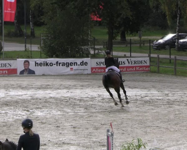 Reitturnier Westergellersen 2023