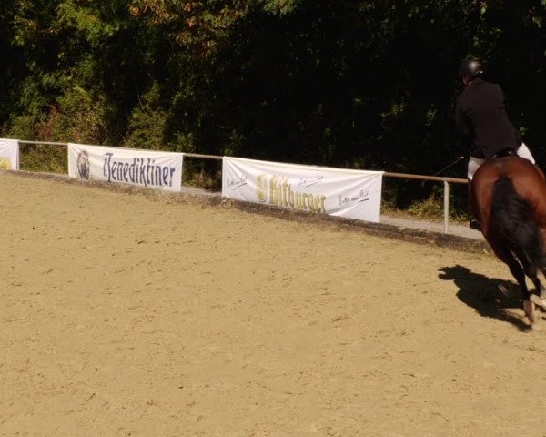 Reitturnier Leingarten 2023