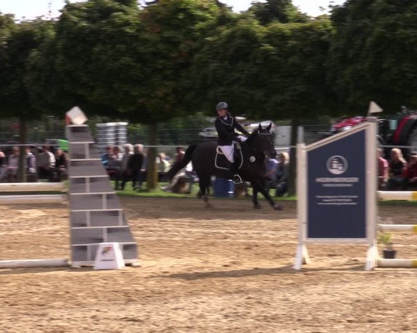 Reitturnier Birkungen 2023