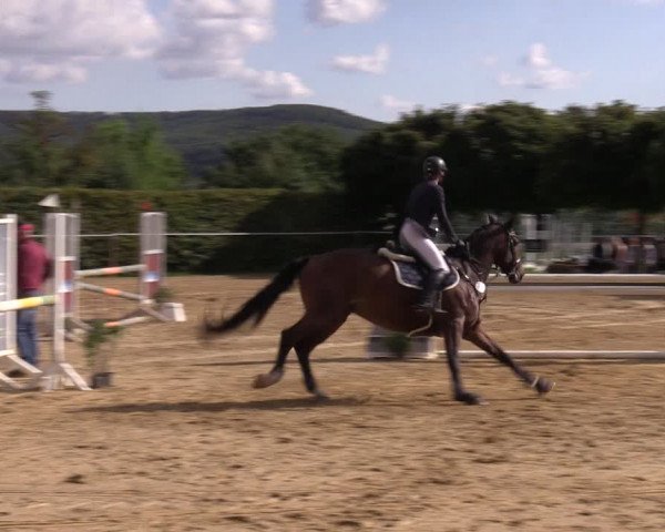 Reitturnier Birkungen 2023