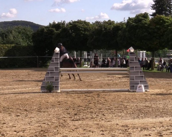 Reitturnier Birkungen 2023