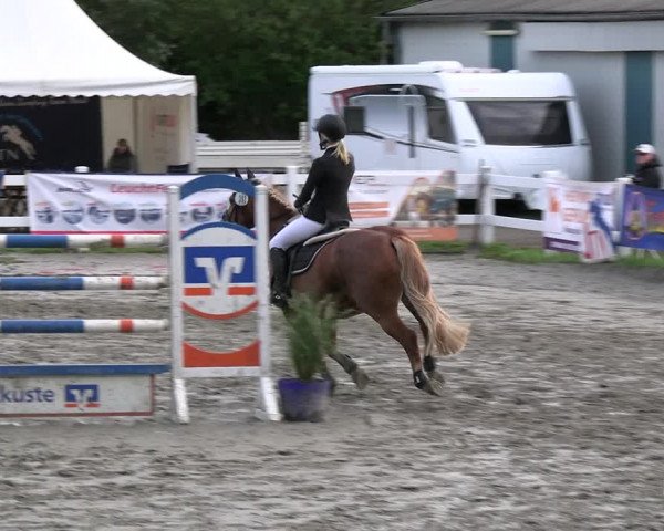 Reitturnier Mildstedt - JTN 2023