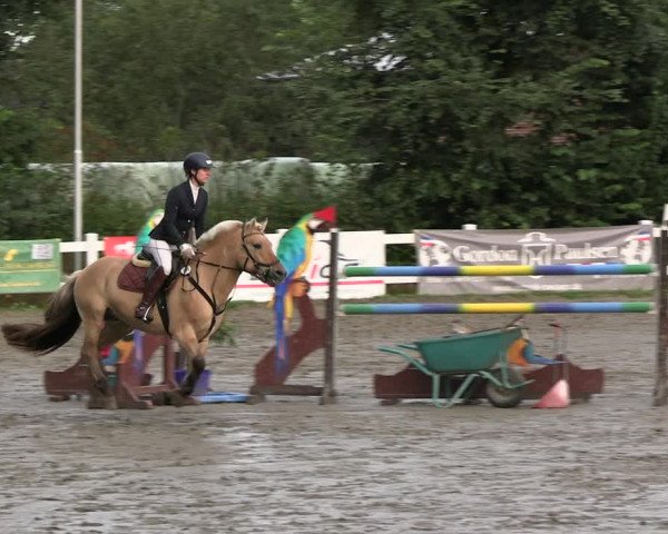 Reitturnier Mildstedt - JTN 2023