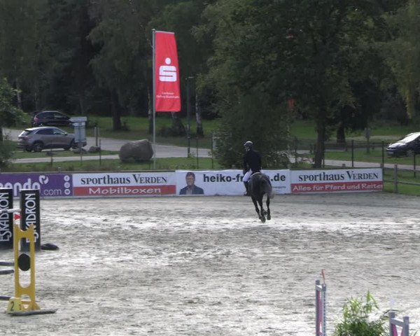 Reitturnier Westergellersen 2023