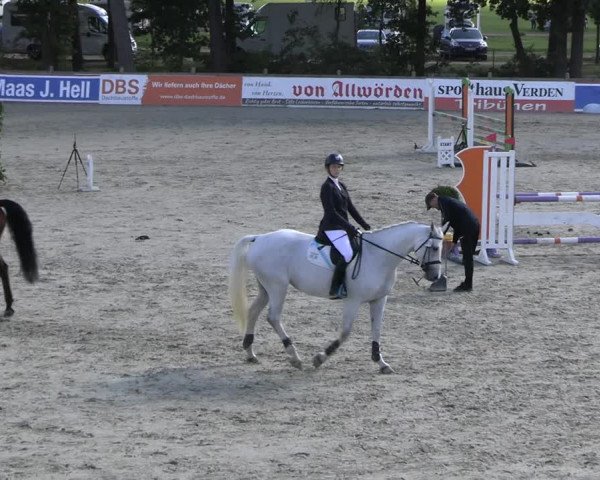 Reitturnier Westergellersen 2023