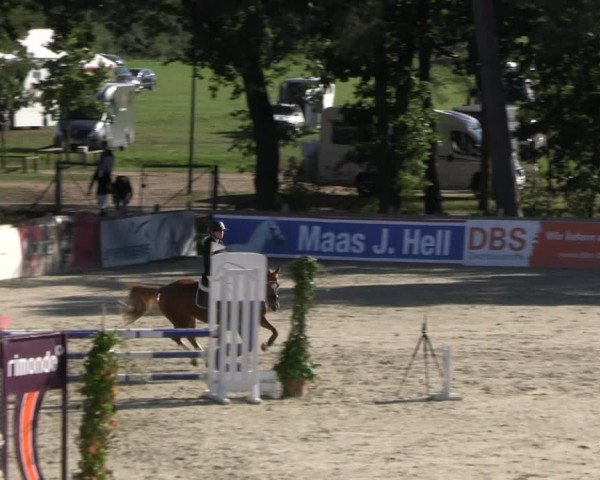 Reitturnier Westergellersen 2023