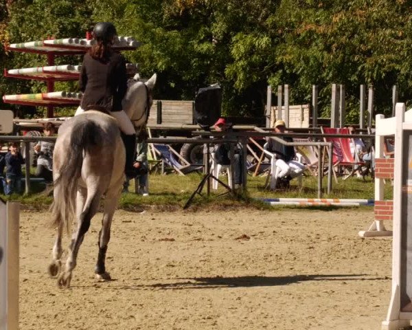 Reitturnier Leingarten 2023