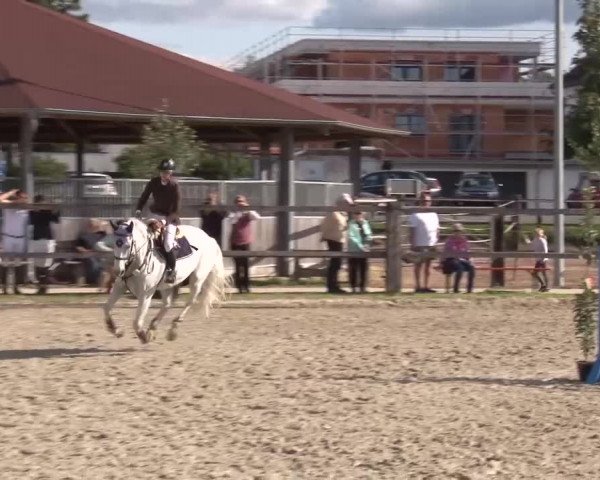 Reitturnier Poxdorf/Ofr 2023