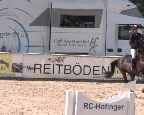 Reitturnier Ranshofen - Braunau am Inn 2023