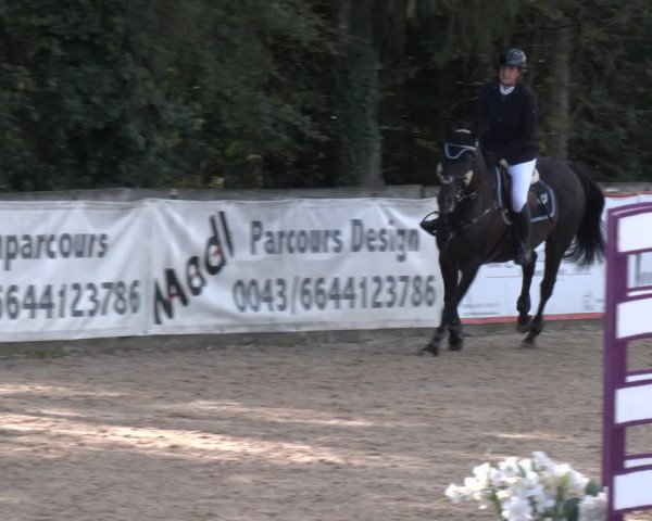 Reitturnier Ranshofen - Braunau am Inn 2023