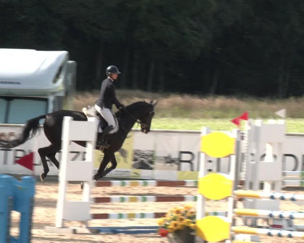 Reitturnier Ranshofen - Braunau am Inn 2023