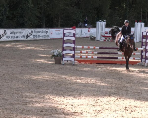 Reitturnier Ranshofen - Braunau am Inn 2023