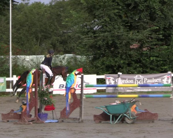 Reitturnier Mildstedt - JTN 2023
