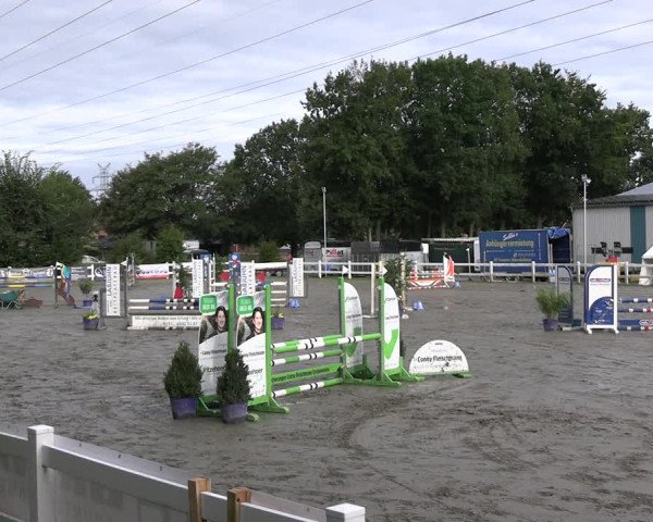 Reitturnier Mildstedt - JTN 2023