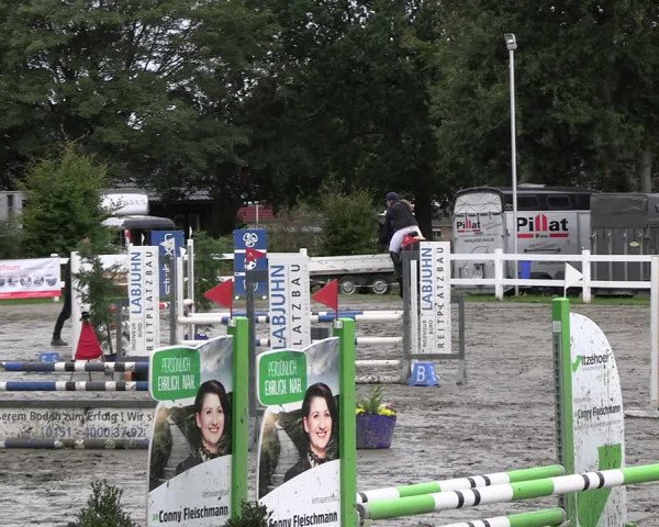 Reitturnier Mildstedt - JTN 2023