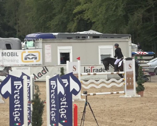 Reitturnier Ranshofen - Braunau am Inn 2023
