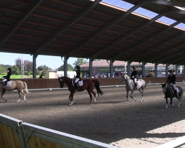 Reitturnier Langenfeld - Gut Langfort 2023