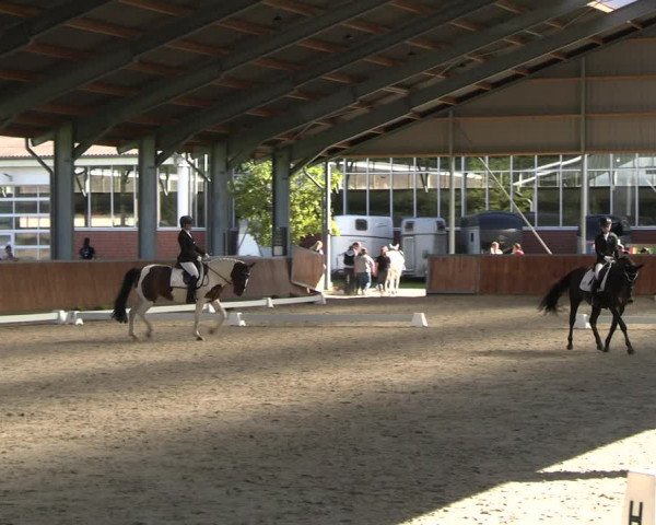 Reitturnier Langenfeld - Gut Langfort 2023