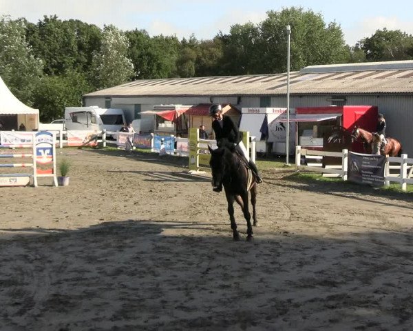 Reitturnier Mildstedt - JTN 2023