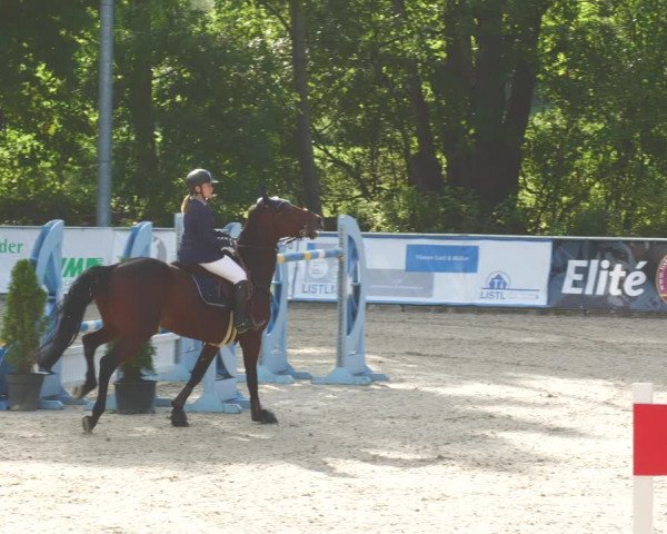 Reitturnier Karlsfeld 2023