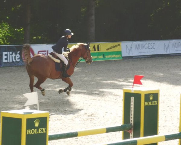 Reitturnier Karlsfeld 2023