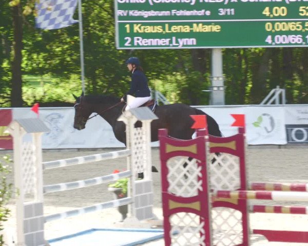 Reitturnier Karlsfeld 2023