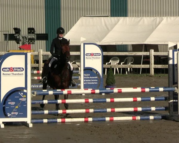 Reitturnier Mildstedt - JTN 2023