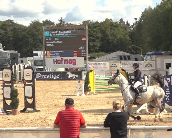 Reitturnier Ranshofen - Braunau am Inn 2023