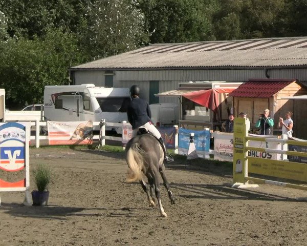 Reitturnier Mildstedt - JTN 2023