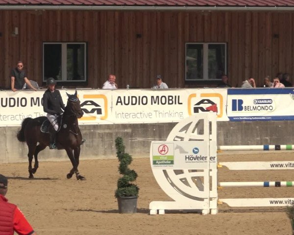 Reitturnier Ranshofen - Braunau am Inn 2023